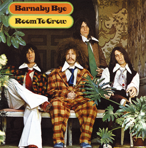 Barnaby Bye: Room To Grow