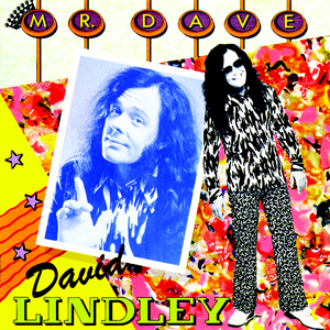 David Lindley: Mr. Dave